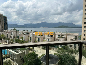 御龍山地產代理有限公司的放盤