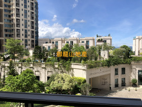 御龍山地產代理有限公司的放盤