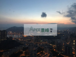 筍盤難求