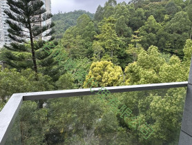 名城地產代理有限公司的放盤