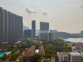 東涌物業有限公司的放盤