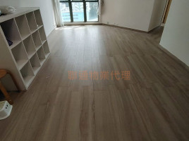 [帝庭豪園] 全新裝修 4房一廳 自住清靜 高層開揚光猛 34校網