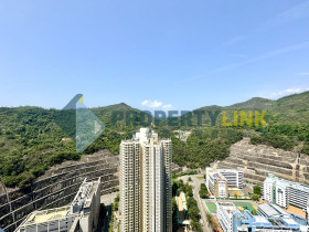 property-link agency limited的放盤