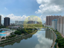 開揚河景