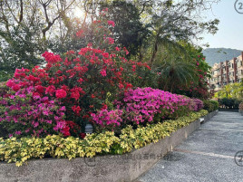 【翡翠花園】 【設計DECO】 【1房巨廳】