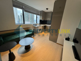 property-link agency limited的放盤