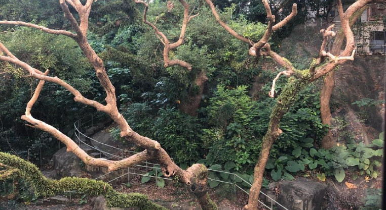 盤源圖片2