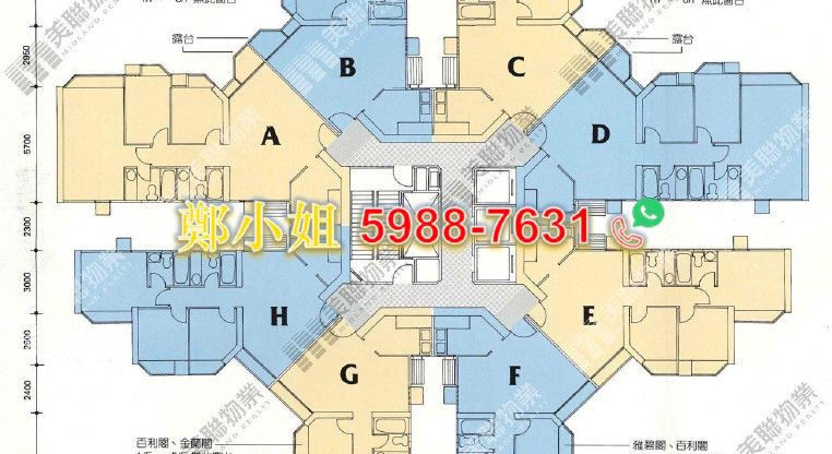 盤源圖片14