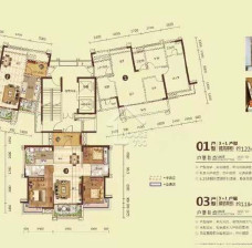 4房2廳