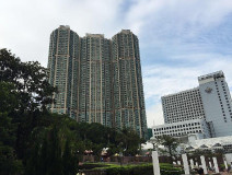 美房的放盤