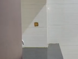 近栢樹街,新裝修光猛,多窗近地鐵。即打9o35 8312約睇