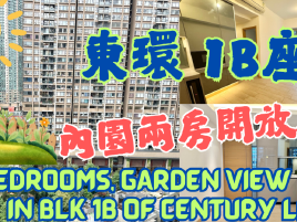 東涌物業MARTIN  - 東環2房全新裝修  