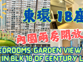 東涌物業有限公司的放盤